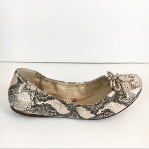 Vince camuto eryn flats snake print
